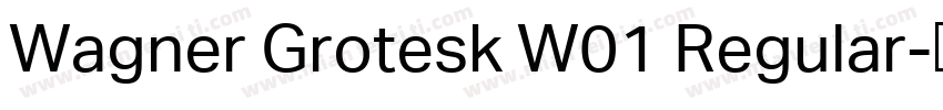 Wagner Grotesk W01 Regular字体转换